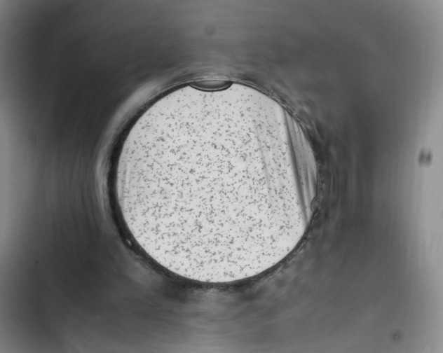 X0000102860197200809151219