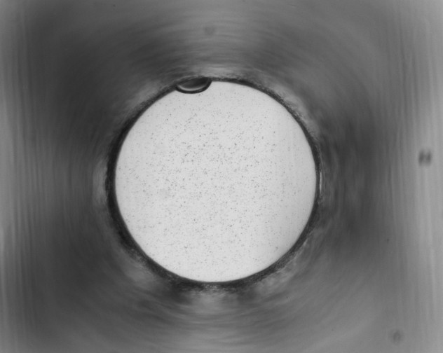 X0000102860201200809151219