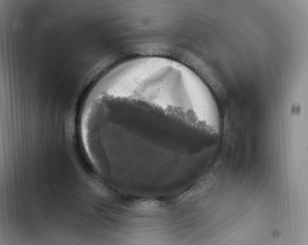 X0000102860202200809151219