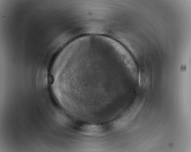X0000102860205200809151219