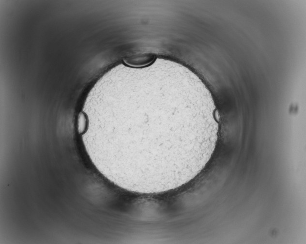 X0000102860207200809151219