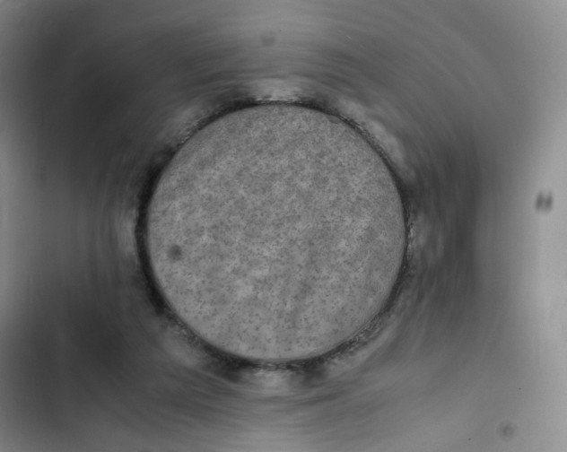 X0000102860209200809151219