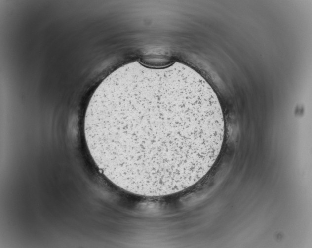 X0000102860211200809151219