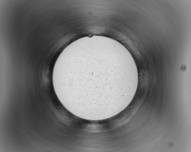 X0000102860212200809151219
