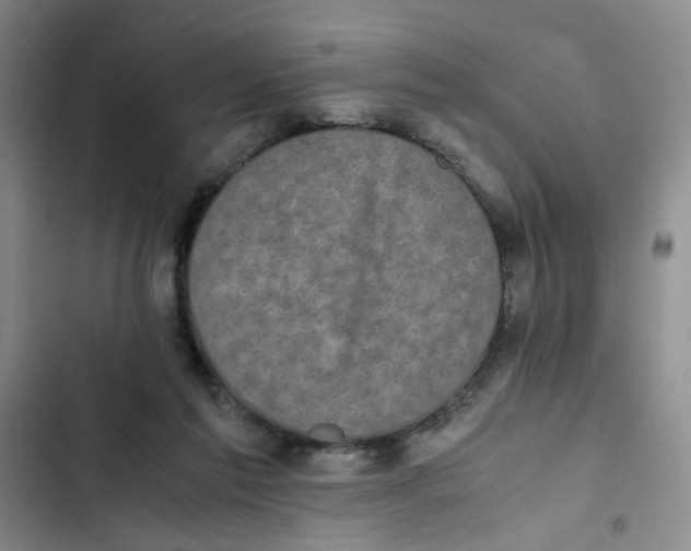 X0000102860213200809151219