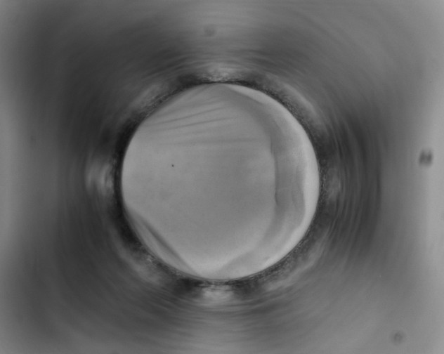 X0000102860214200809151219