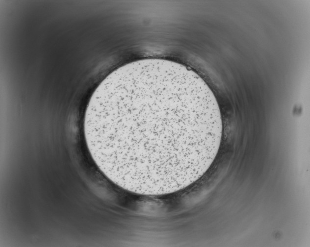 X0000102860215200809151219