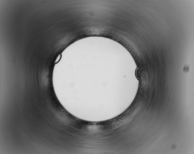 X0000102860216200809151219