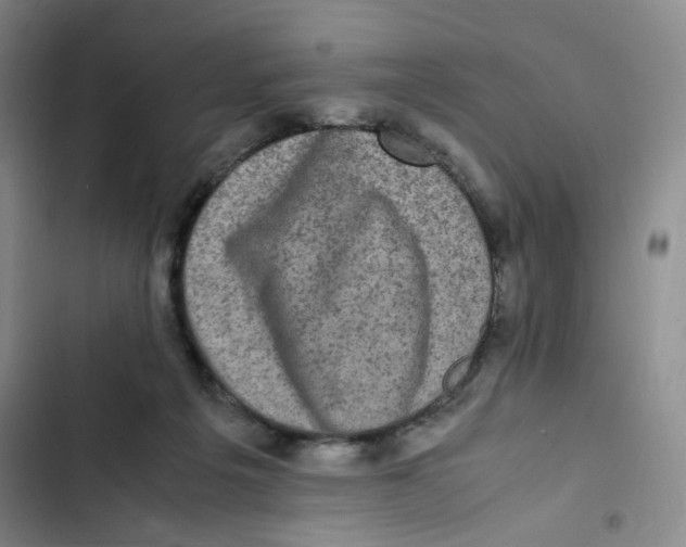 X0000102860217200809151219