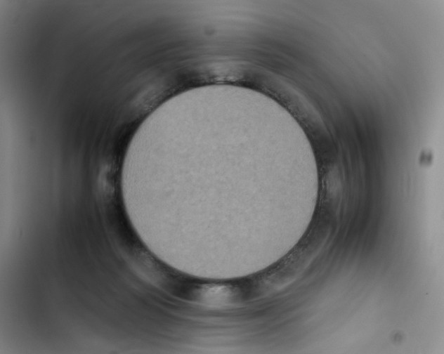 X0000102860218200809151219