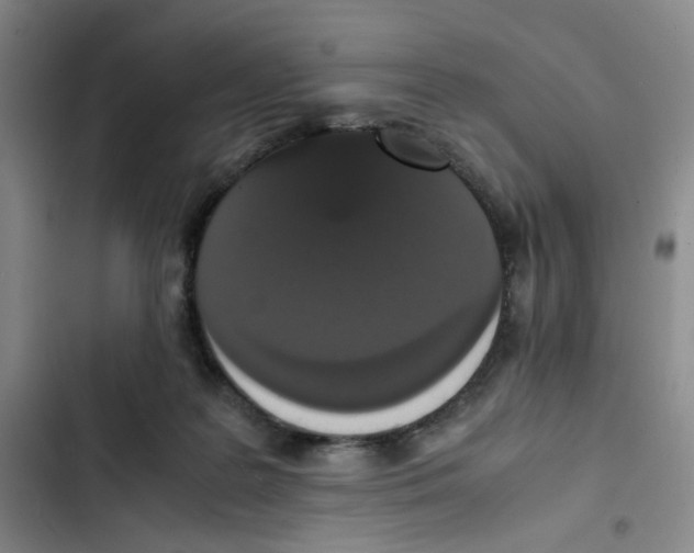 X0000102860219200809151219
