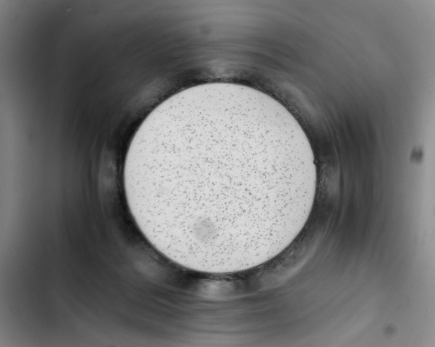X0000102860220200809151219