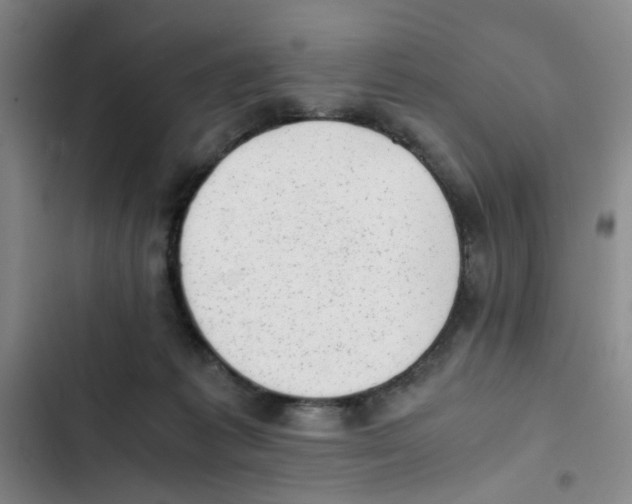 X0000102860221200809151219