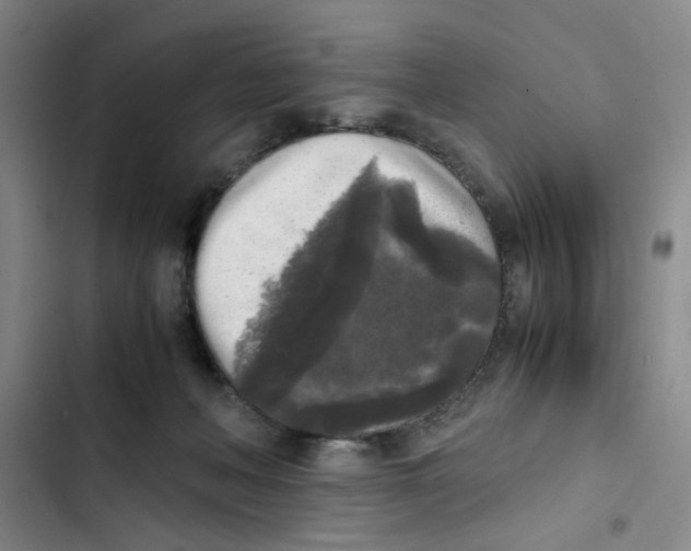 X0000102860222200809151219