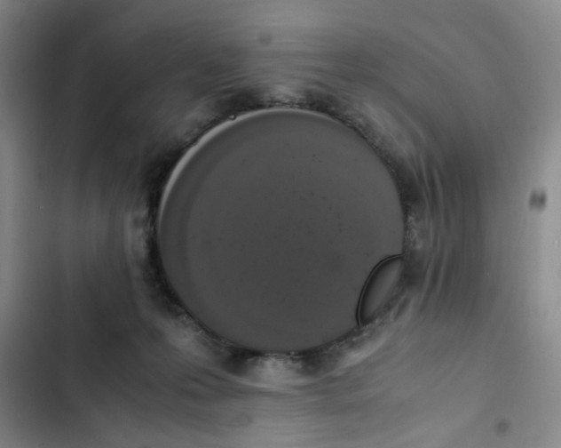 X0000102860223200809151219