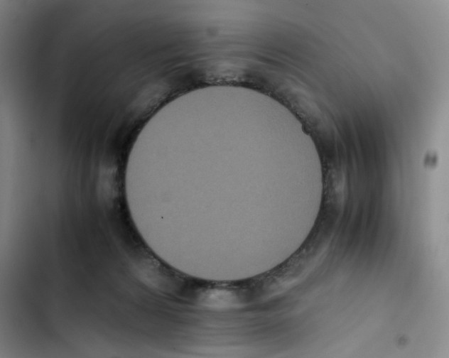 X0000102860224200809151219