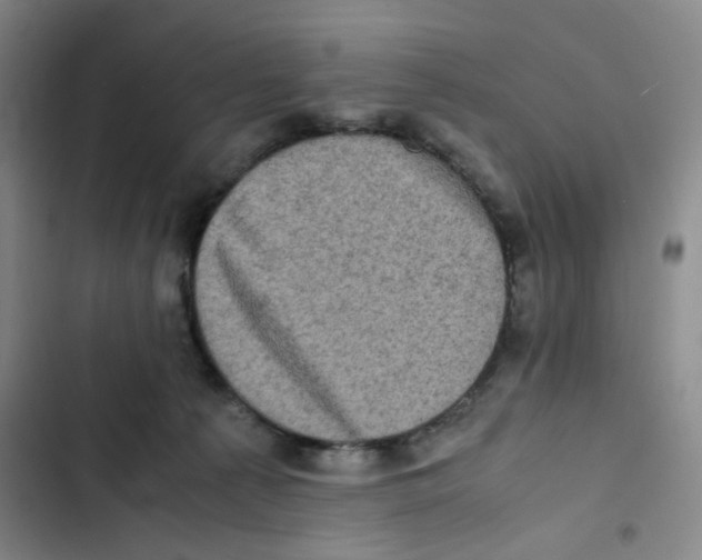 X0000102860225200809151219