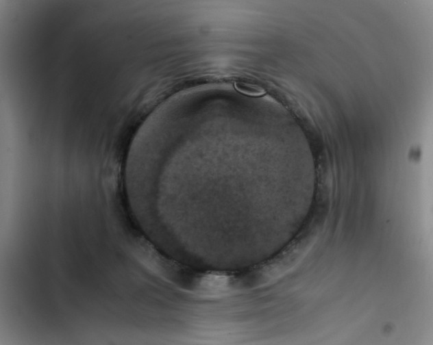 X0000102860227200809151219