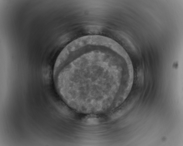 X0000102860228200809151219