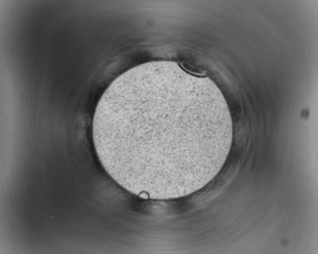 X0000102860229200809151219