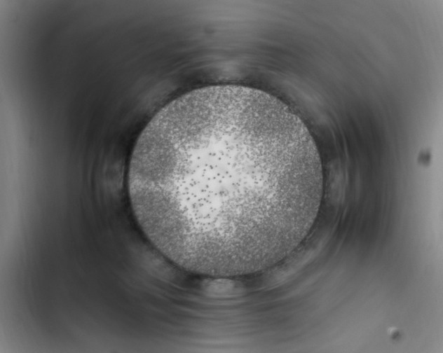 X0000102860230200809151219