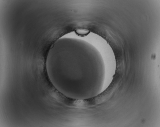 X0000102860231200809151219