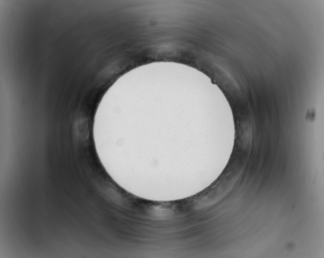 X0000102860232200809151219