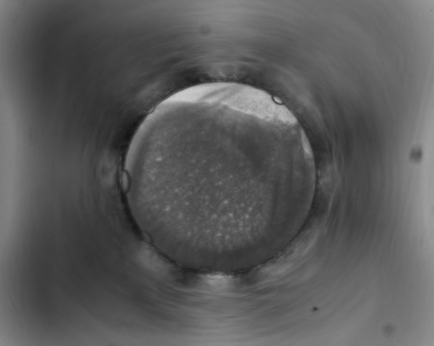 X0000102860233200809151219