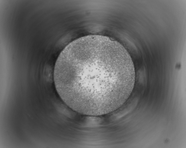 X0000102860234200809151219