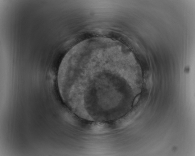 X0000102860235200809151219