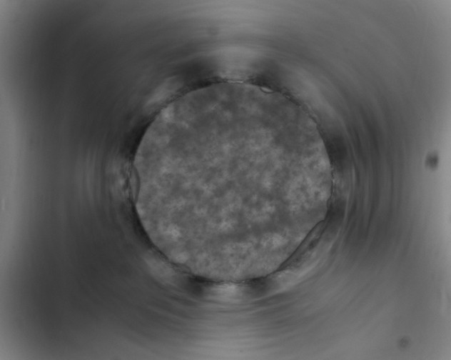 X0000102860237200809151219