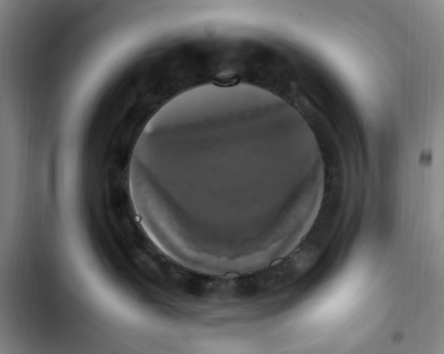 X0000102860239200809151219