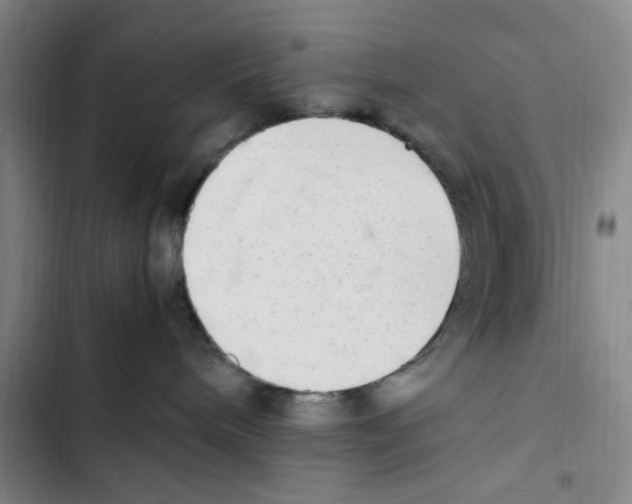 X0000102860240200809151219