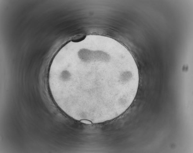 X0000102860241200809151218