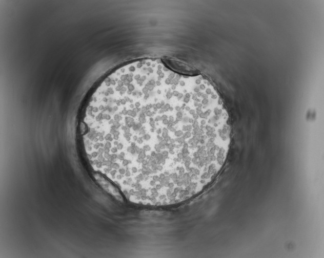 X0000102860242200809151218