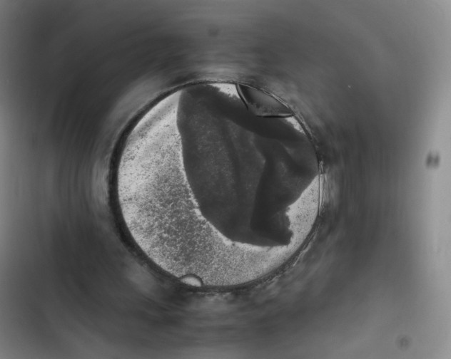 X0000102860243200809151218