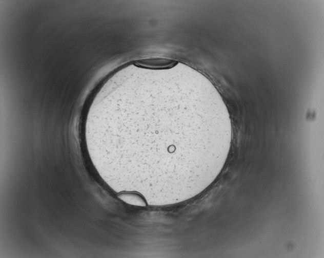 X0000102860244200809151218