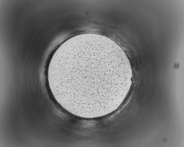 X0000102860245200809151218