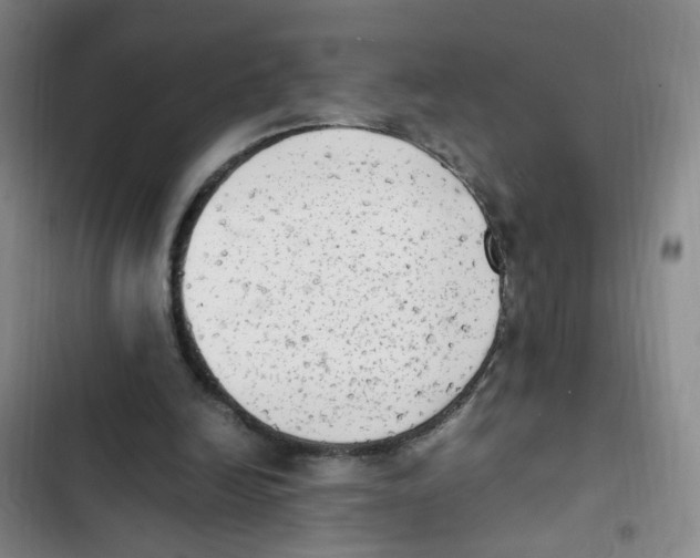 X0000102860246200809151218
