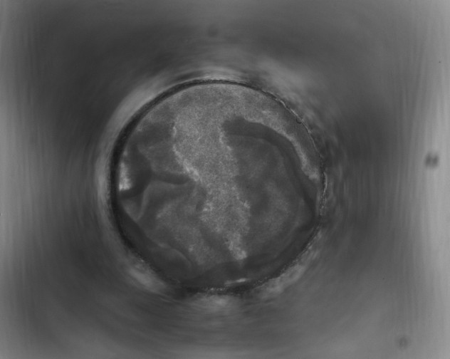X0000102860247200809151218