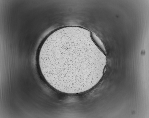 X0000102860248200809151218