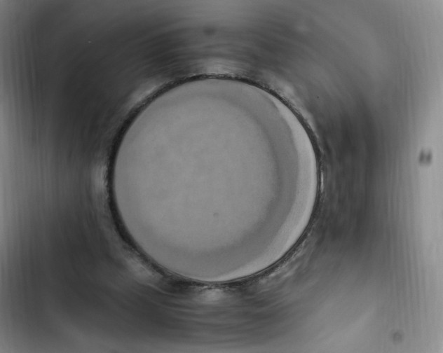 X0000102860249200809151218
