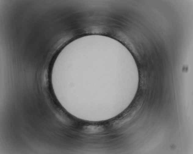 X0000102860251200809151218