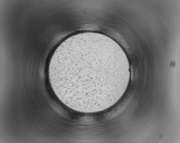 X0000102860252200809151218