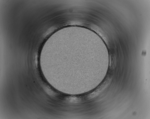 X0000102860253200809151218