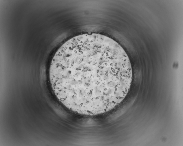X0000102860254200809151218