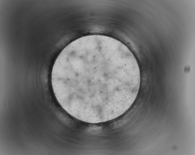 X0000102860257200809151218