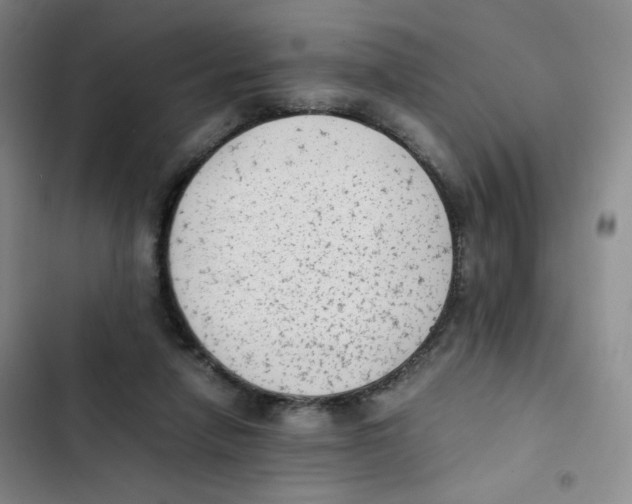 X0000102860258200809151218