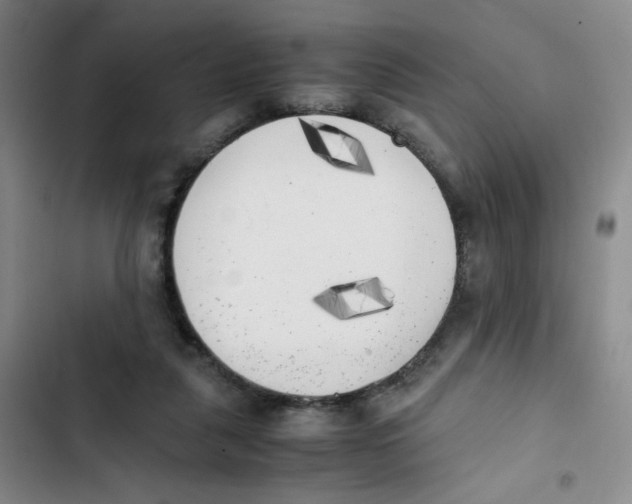 X0000102860259200809151218
