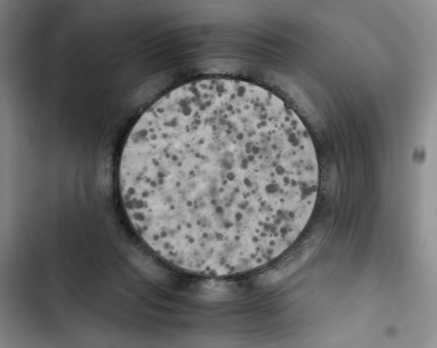 X0000102860261200809151218